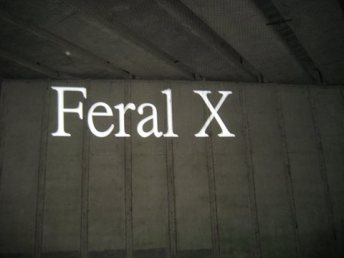 Feral X M25